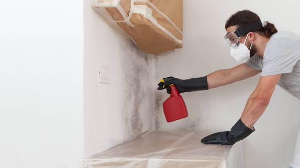 Professional Black Mold Remediation technician working in Marshall, MI