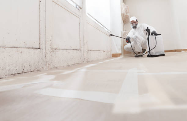 24/7 Emergency Black Mold Remediation experts in Marshall, MI