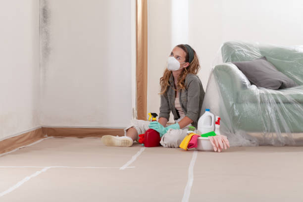 Reliable Black Mold Remediation contractor in Marshall, MI by Mold Remediation HQ